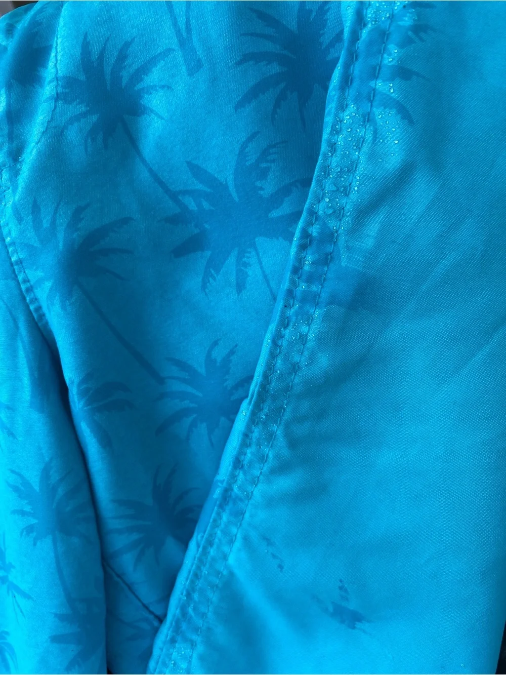 Abercrombie Kids Boys Color Changing Swim Trucks - Aqua Blue with Palm Trees